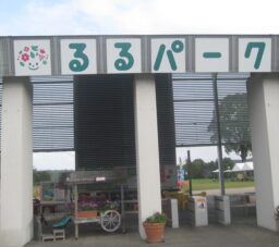 日出町から25分の「るるパーク」で、ぼっちデイキャンプ 日出町から25分の「るるパーク」で、ぼっちデイキャンプ